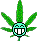 :Pothead: