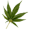 :roll-up: