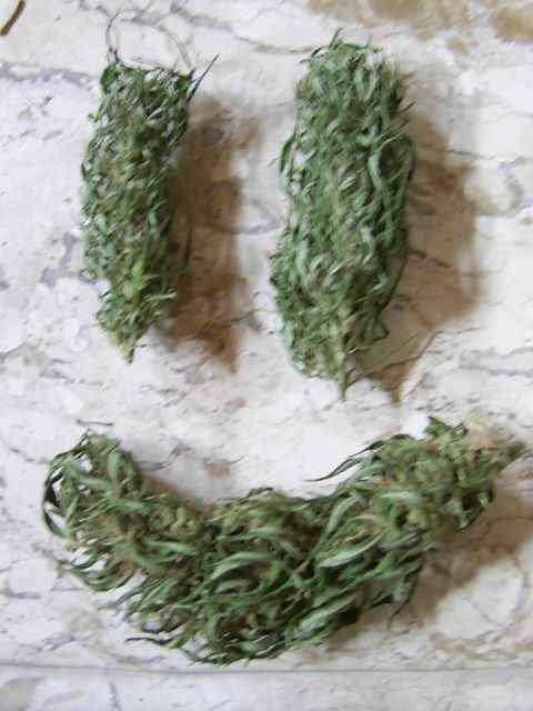 Posted Image