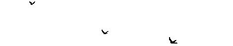 gallery_45368_2500_33547.gif