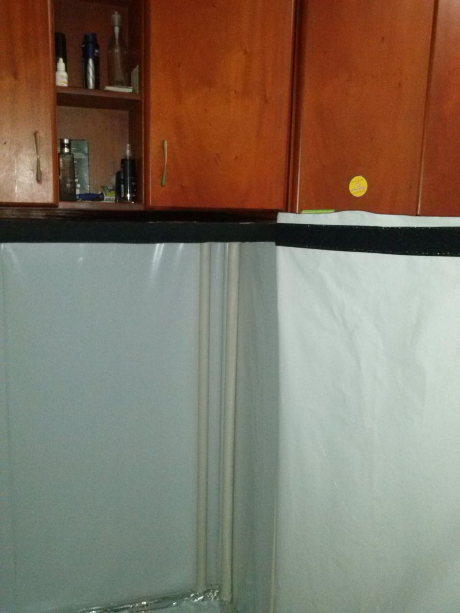 gallery_60302_9331_333973.jpg