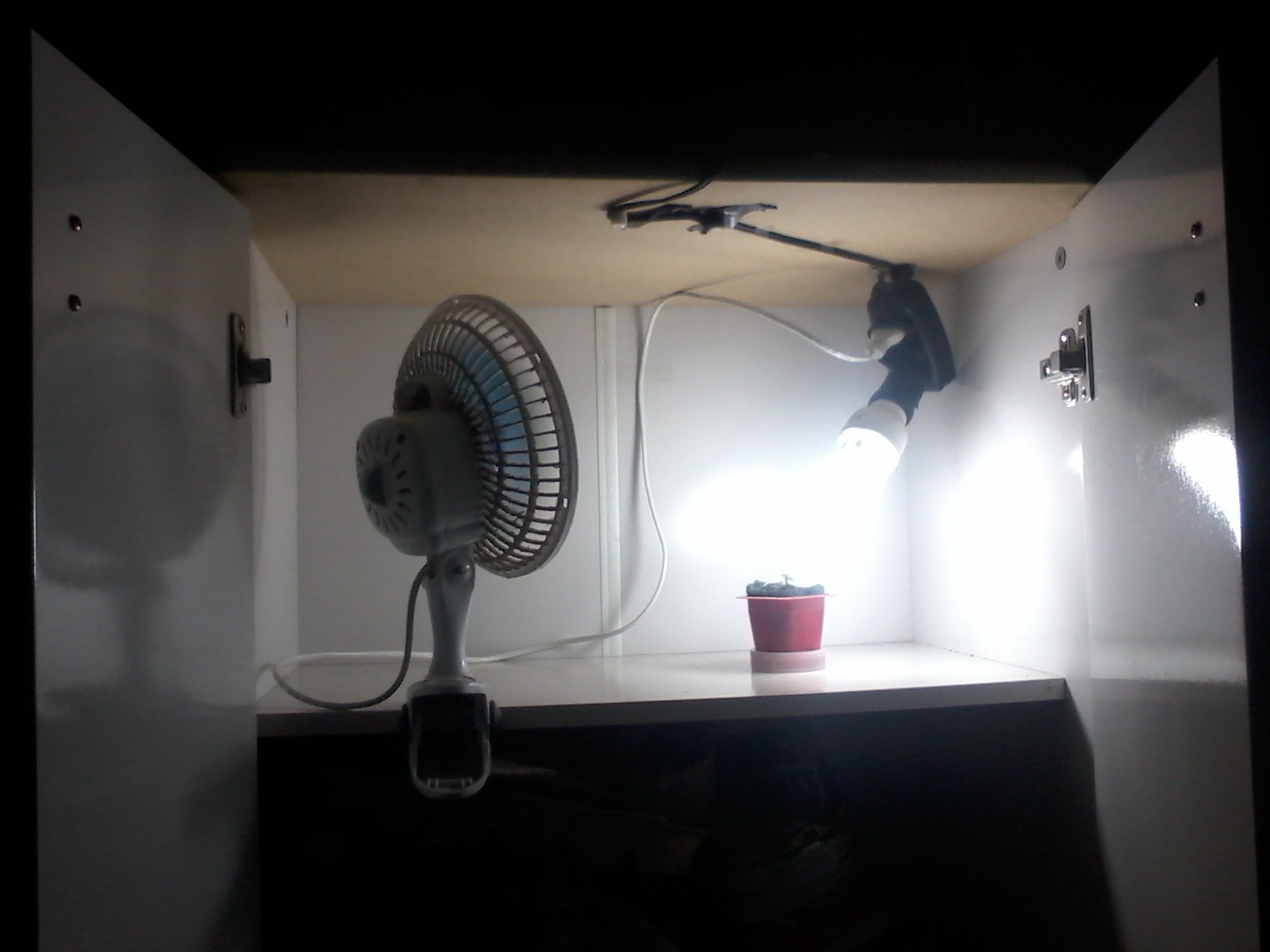 Meus Growrooms
