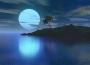 moon bay