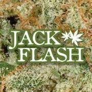 JackFlash