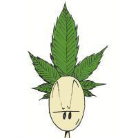 Grower-THC+20