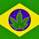 BudBrasil