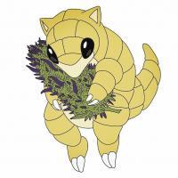 sandshrew