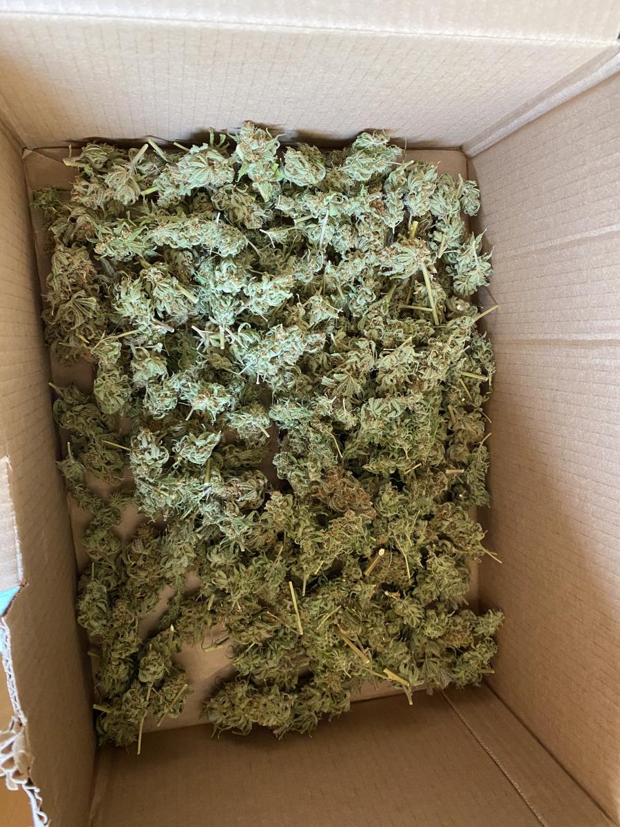 Indoor Freedoommmmm