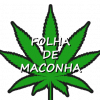 Folha-de-maconha