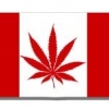 Canadense