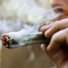 legaliZEH