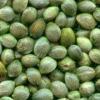 Mariconha Sativa