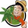 Plantador420