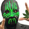 MisterGrower