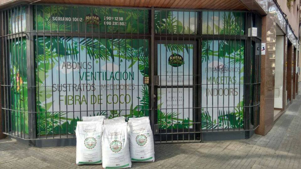 Head e Grow shops Uruguai - Media Grow