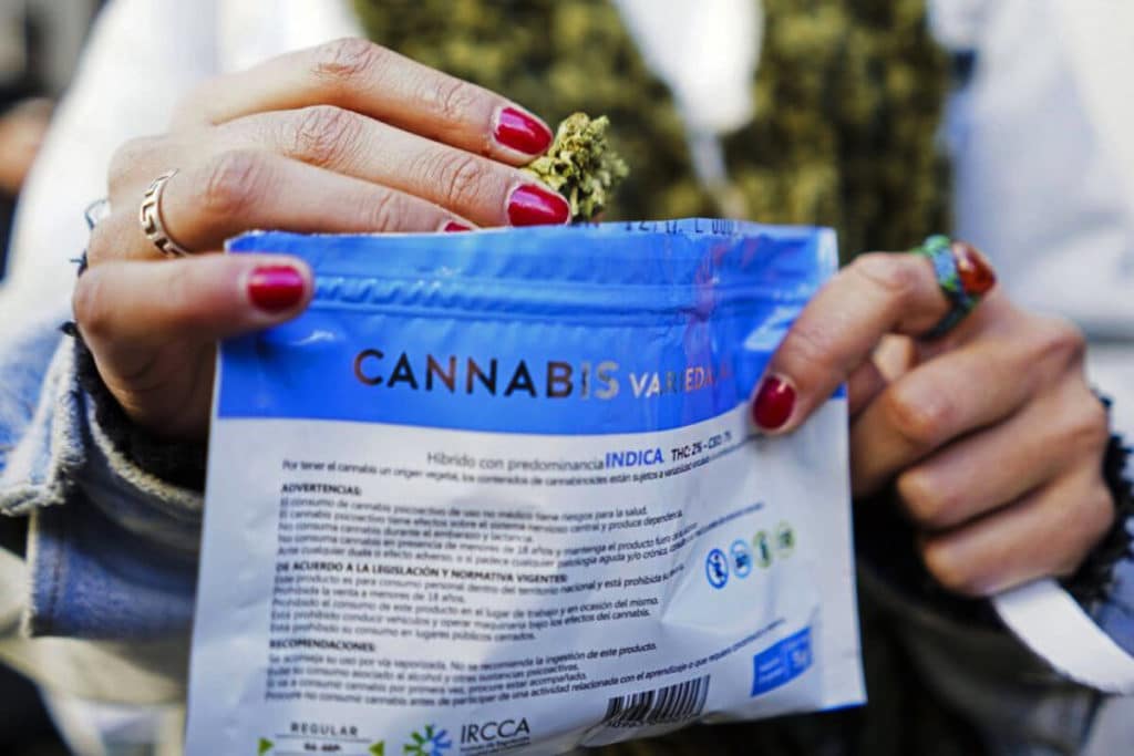 Venda de maconha no Uruguai