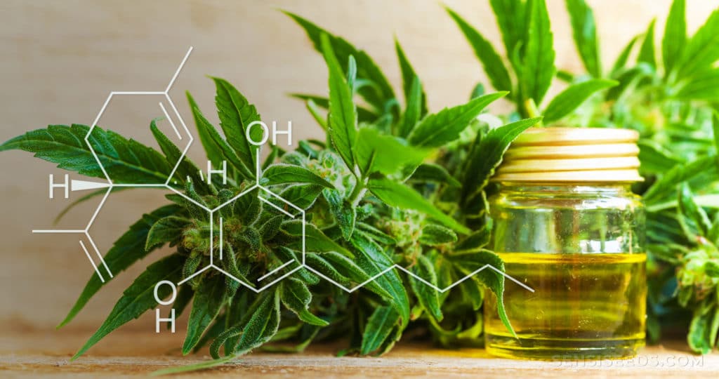 remédios a base de canabidiol gratis no sus