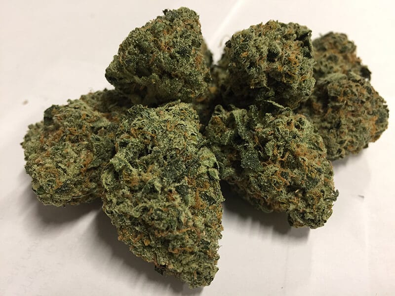 Bud de Cannabis Indica bem denso
