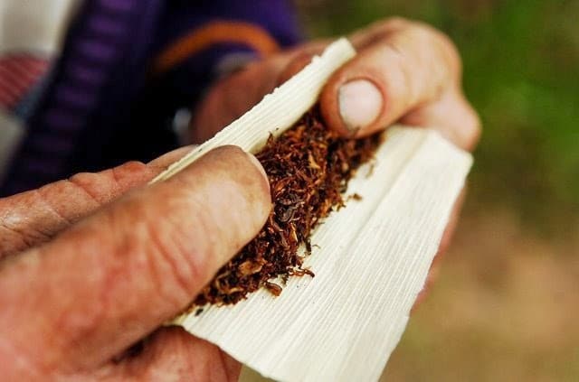 como fumar maconha quando a seda acaba usando palha